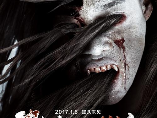 瑟克维尔圣经学院学士学位证